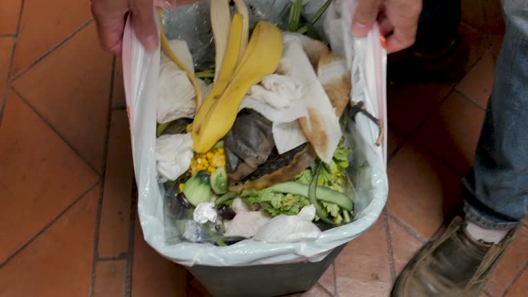 Best Recycling Services for Junk  in Wurtland, KY